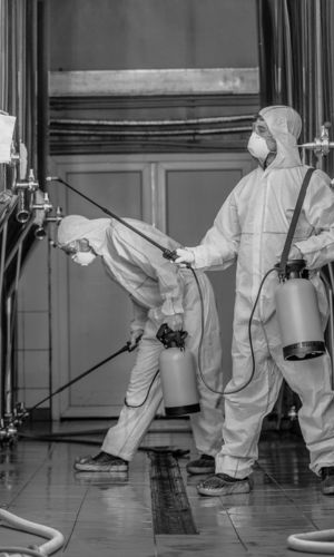 herangli-kft_tovabbi-szolgaltatasok_01